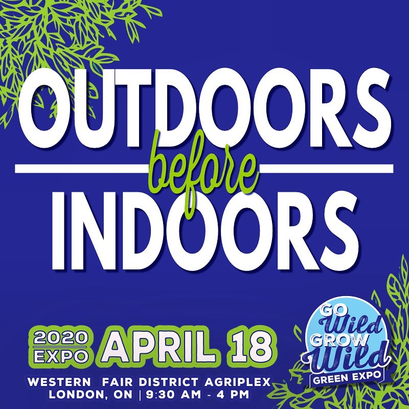 Go Wild in your back yard