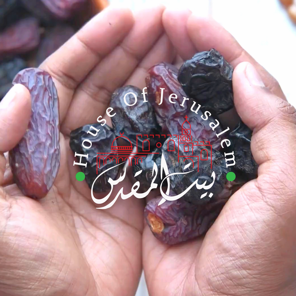 Palestinian Dates now available for pre-order – Reimagine Co