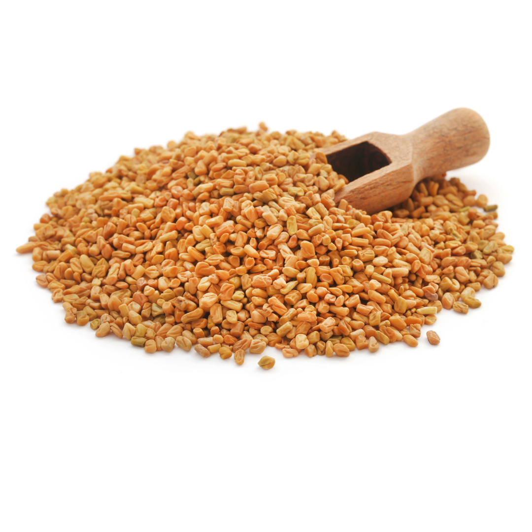 Fenugreek Seeds - Organic (refillable container)