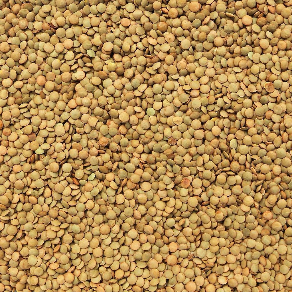 Organic Green Lentils (1kg)