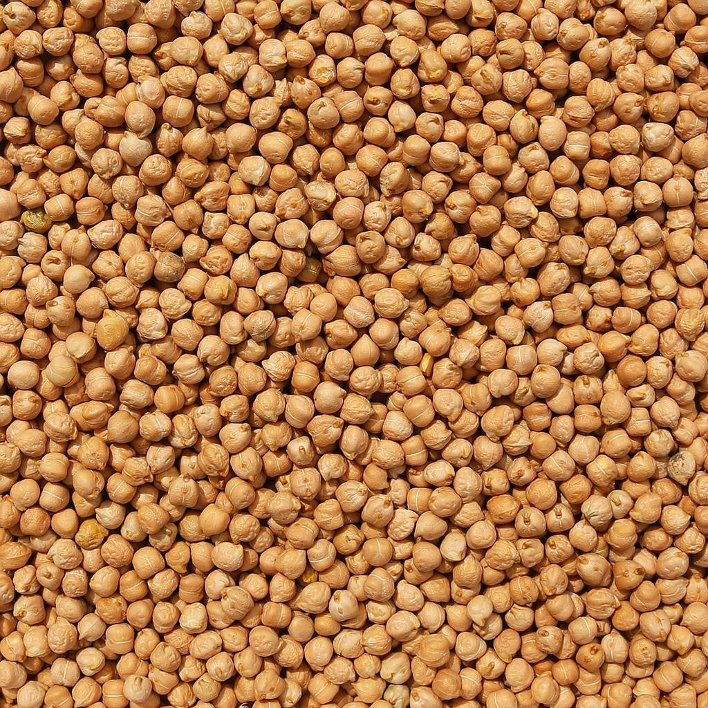 Organic Chickpeas (1kg)