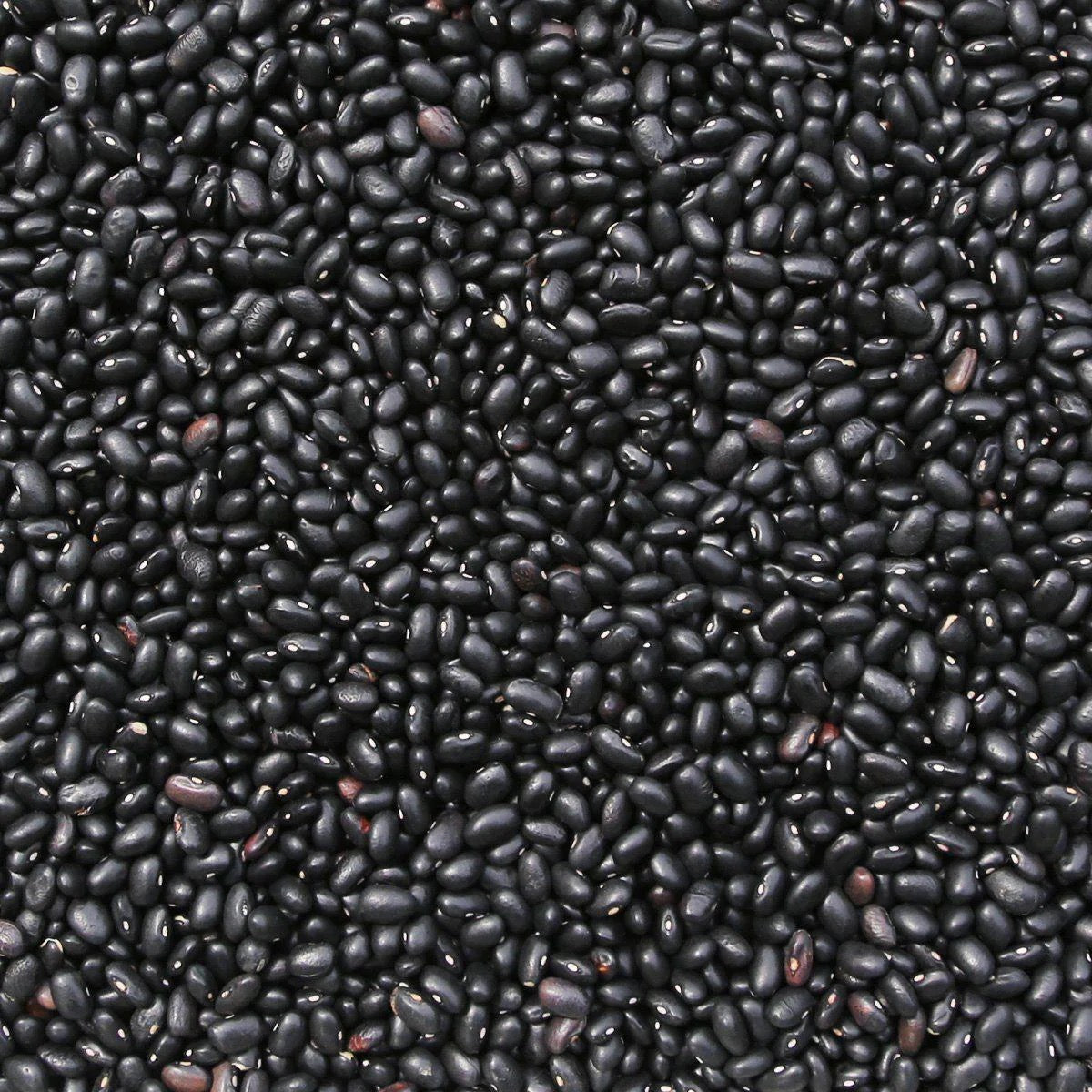 Organic Black Turtle Beans (1kg)
