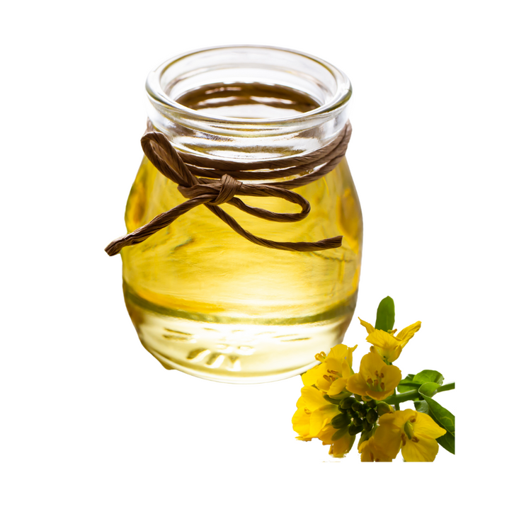 Canola Oil (Refillable Container)