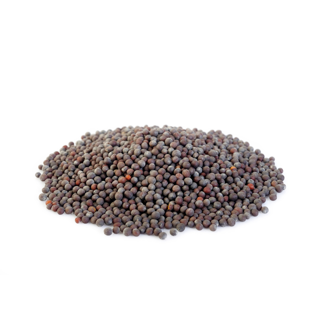Mustard Seeds - Organic (Refillable Container)