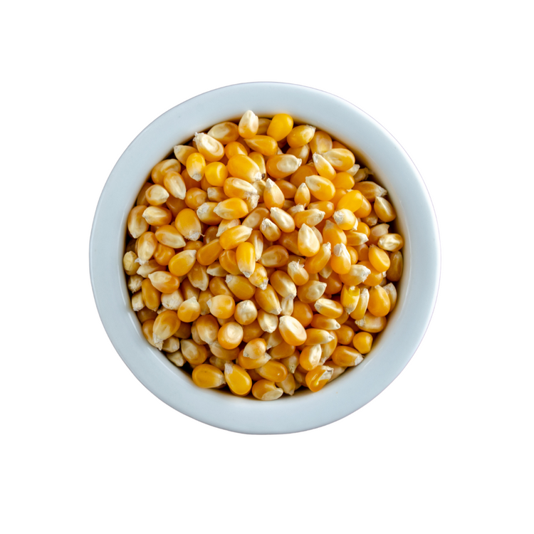 Yellow Popcorn - Organic (Refillable Container)