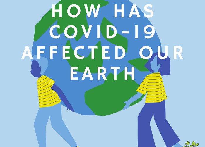 How Has COVID-19 Affected Our Earth?