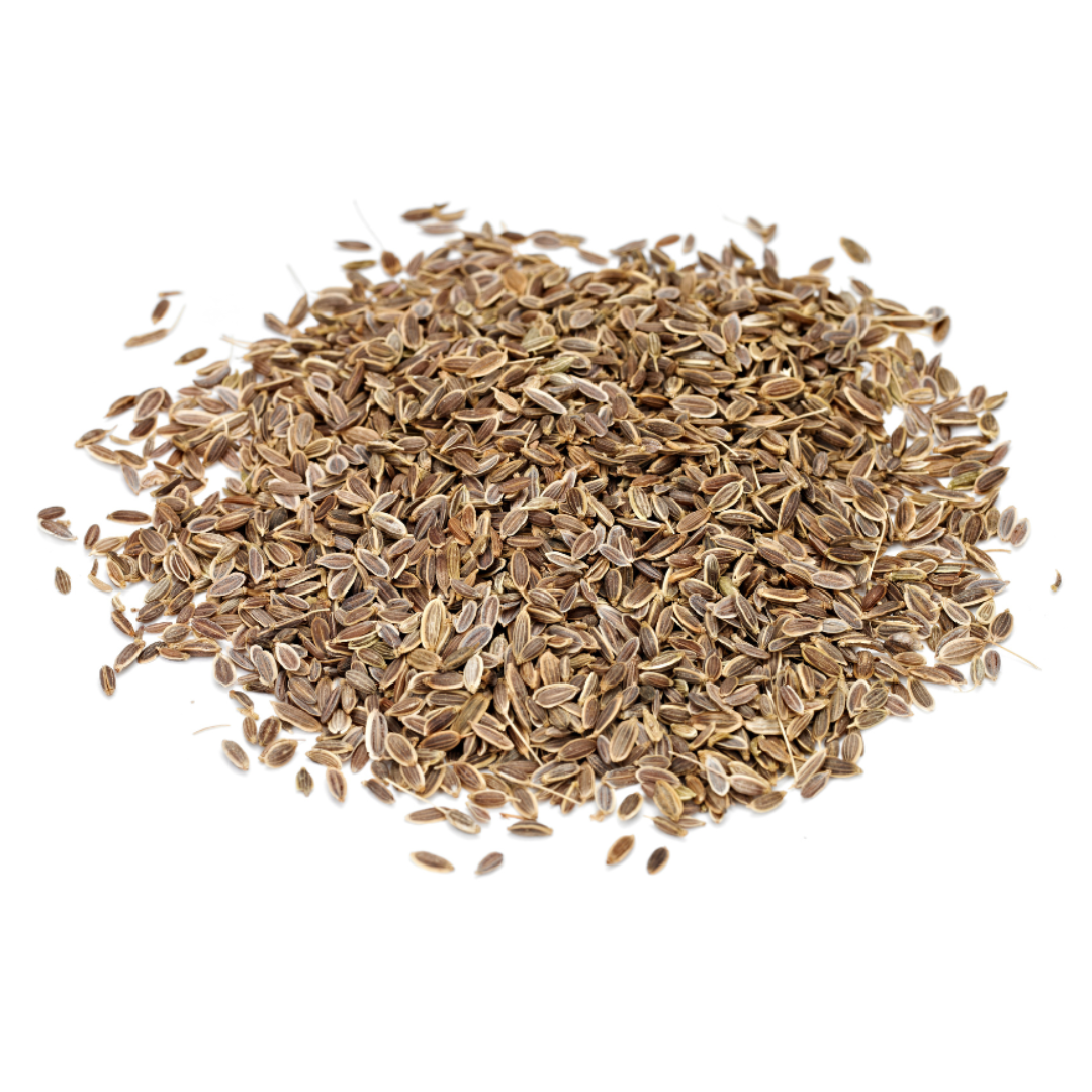 Dill Seeds - Organic (Refillable Container)
