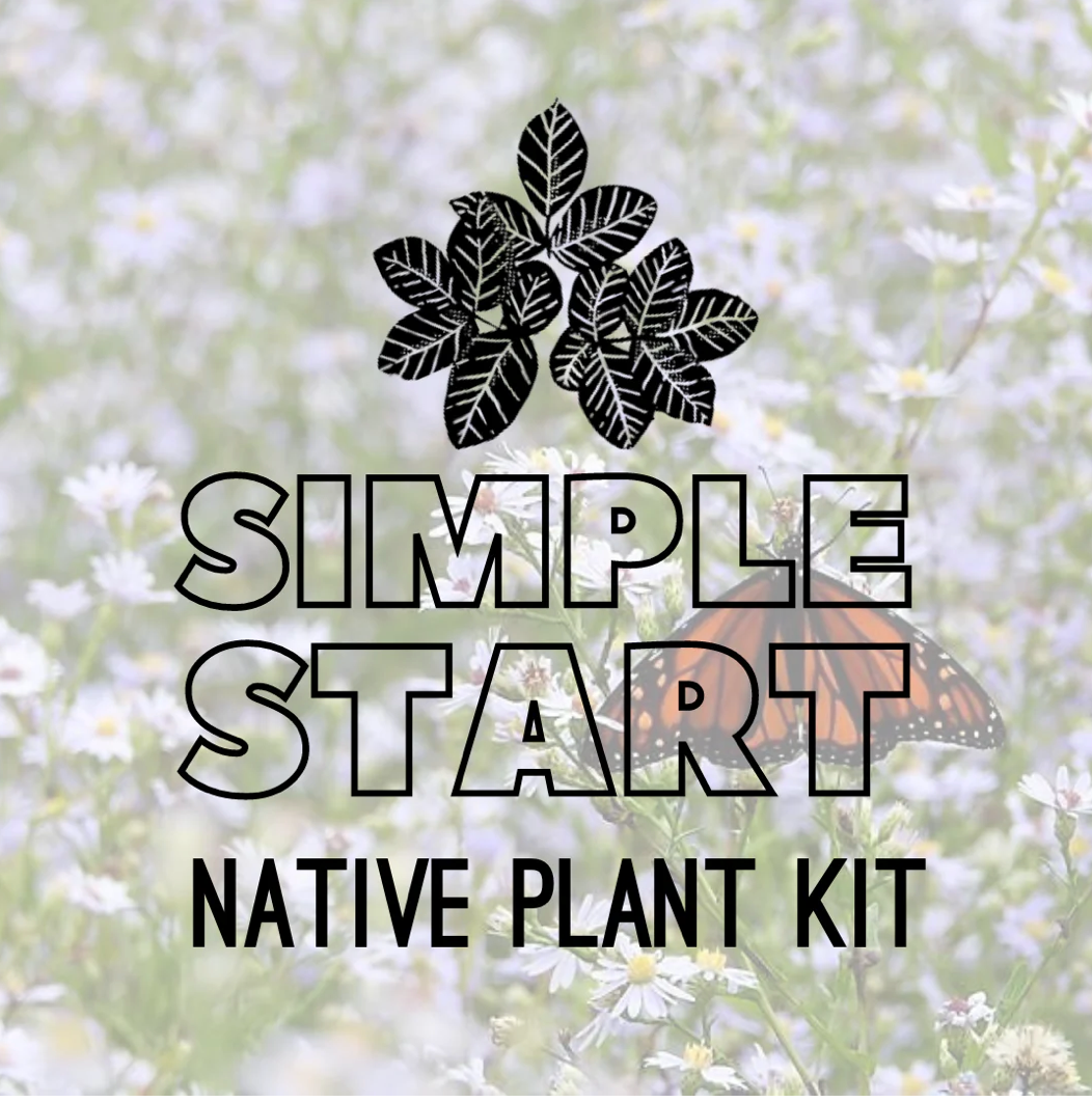 Carolinian Canada Native Seed Starter Kit