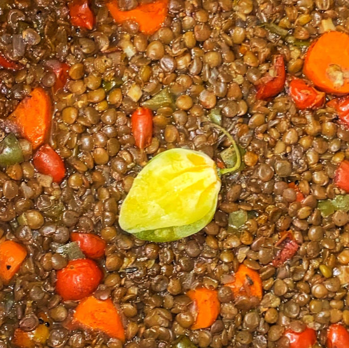 Jerk Lentils w/ Rice