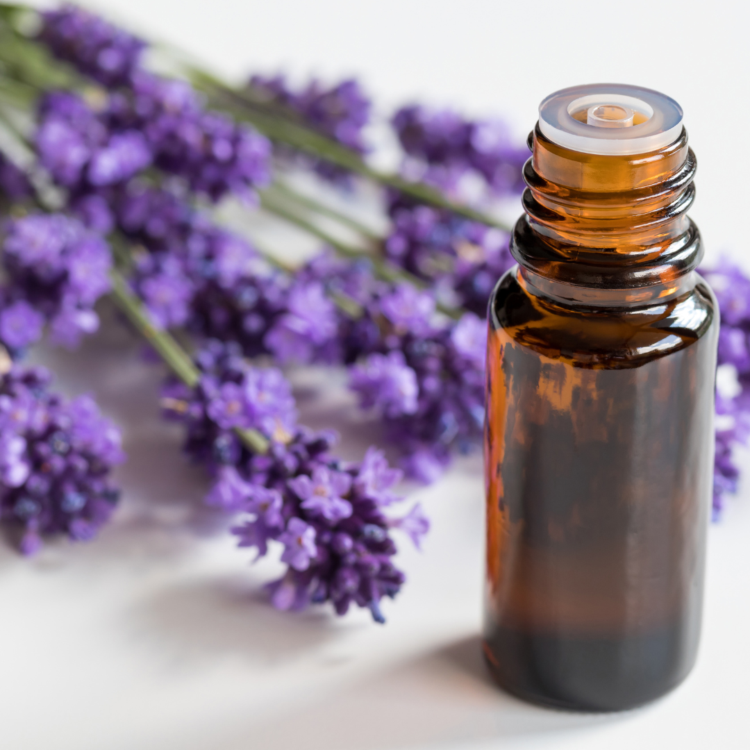 Lavender Essential Oil - Organic w/ bottle