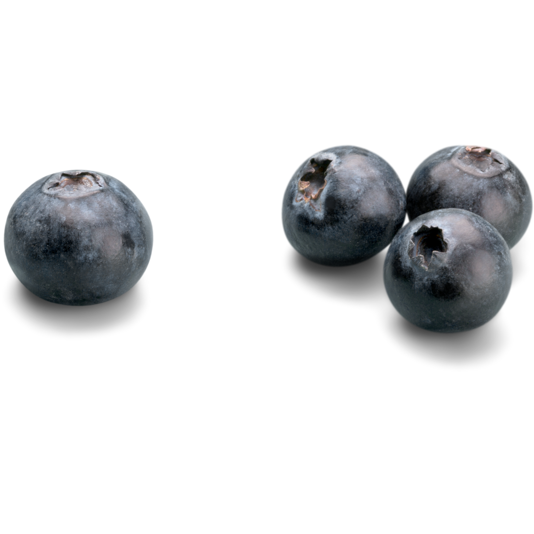 Frozen Blueberries (Refillable Container)